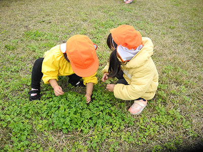 ひまわりこども園児たちの写真